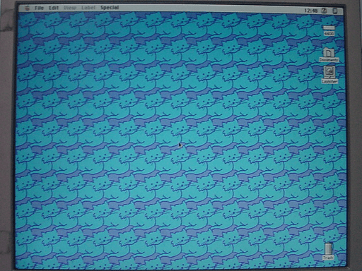 An empty desktop with wallpaper of tiled blue cats.